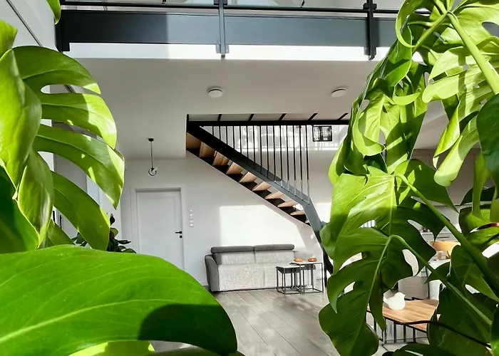 Sunny Slope - Platinum Szklarska Poręba